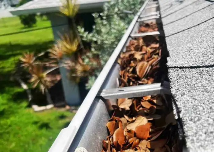 Erwin gutter cleaning home page